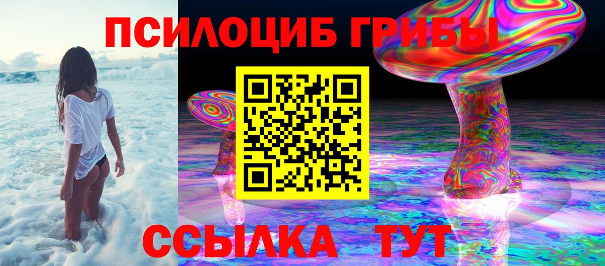 Галлюциногенные грибы Cubensis  Вход с VPN  даркнет сайт  Сосновый Бор 